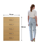 CAJONERA CHICA HOGARE